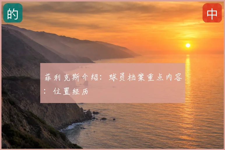 菲利克斯介绍：球员档案重点内容：位置经历